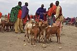 TANZANIA - 0061